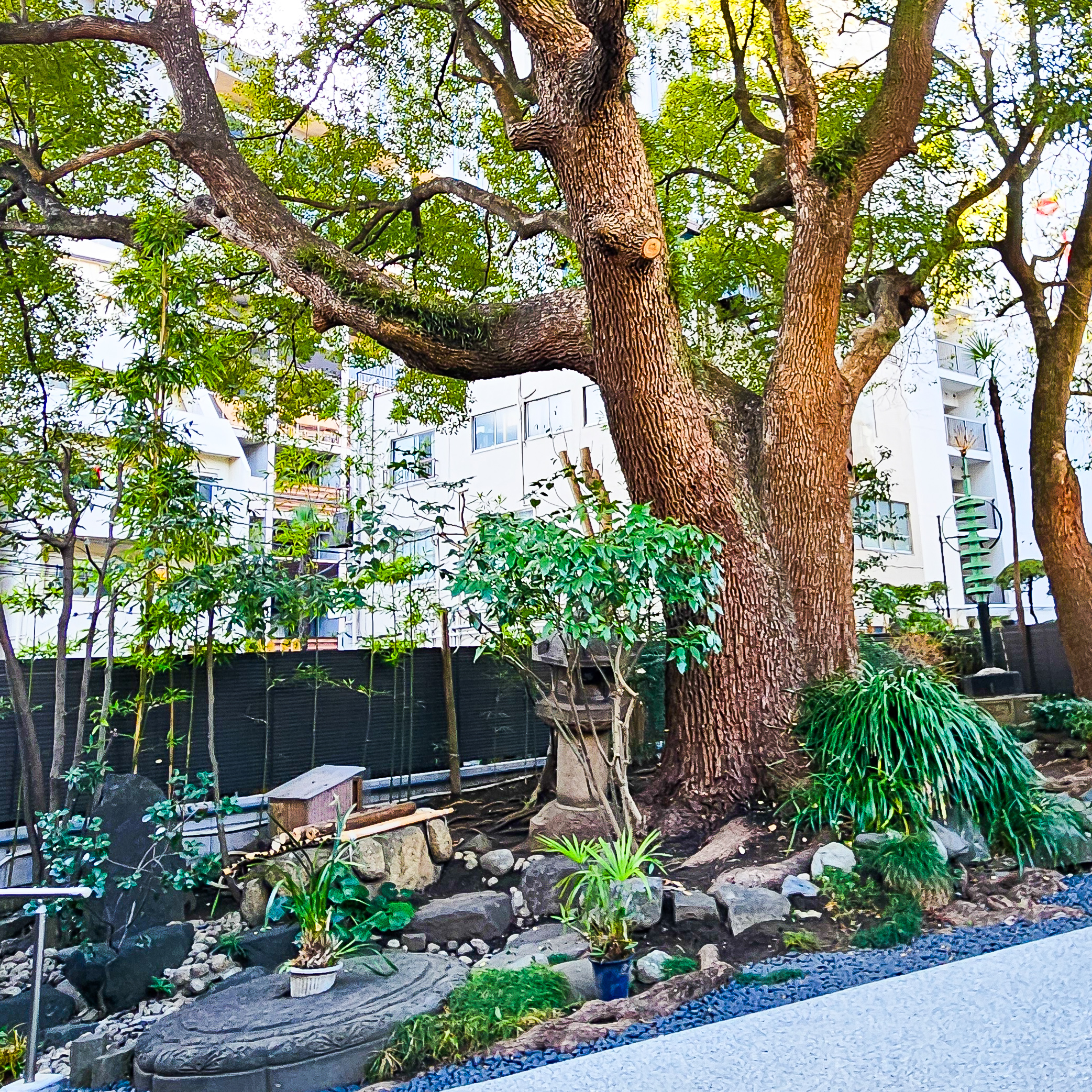 久遠寺の庭